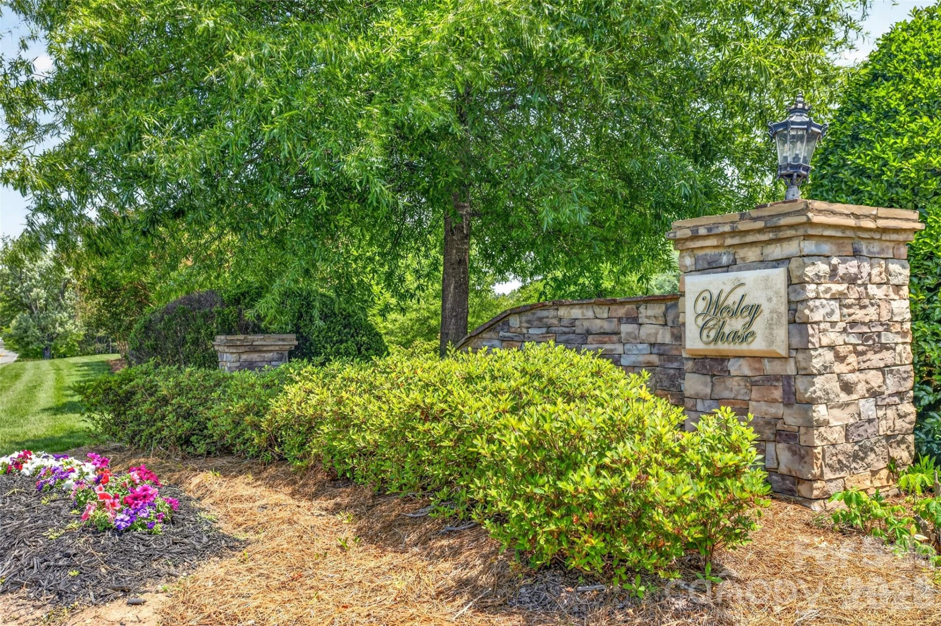 1008 Spring Rose Lane - Photo 2