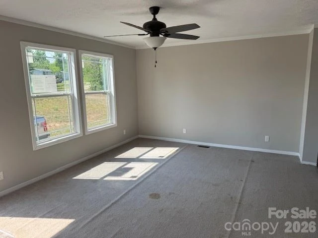 4360 Vein Mountain Road - Photo 2