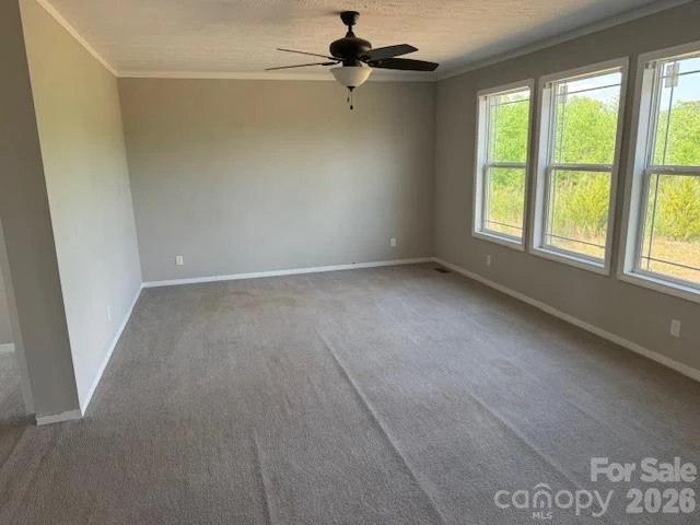 4360 Vein Mountain Road - Photo 4