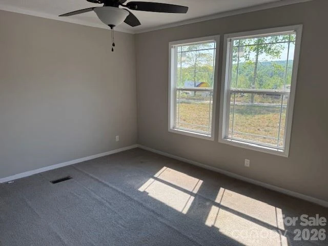 4360 Vein Mountain Road - Photo 5