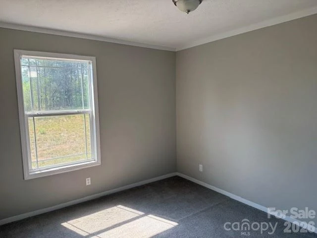 4360 Vein Mountain Road - Photo 7