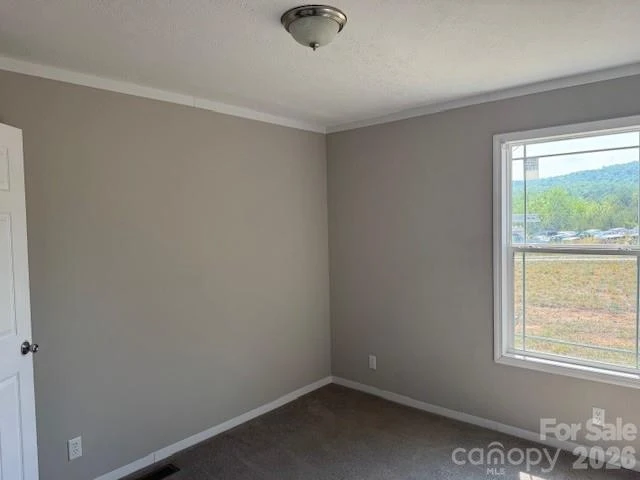 4360 Vein Mountain Road - Photo 8