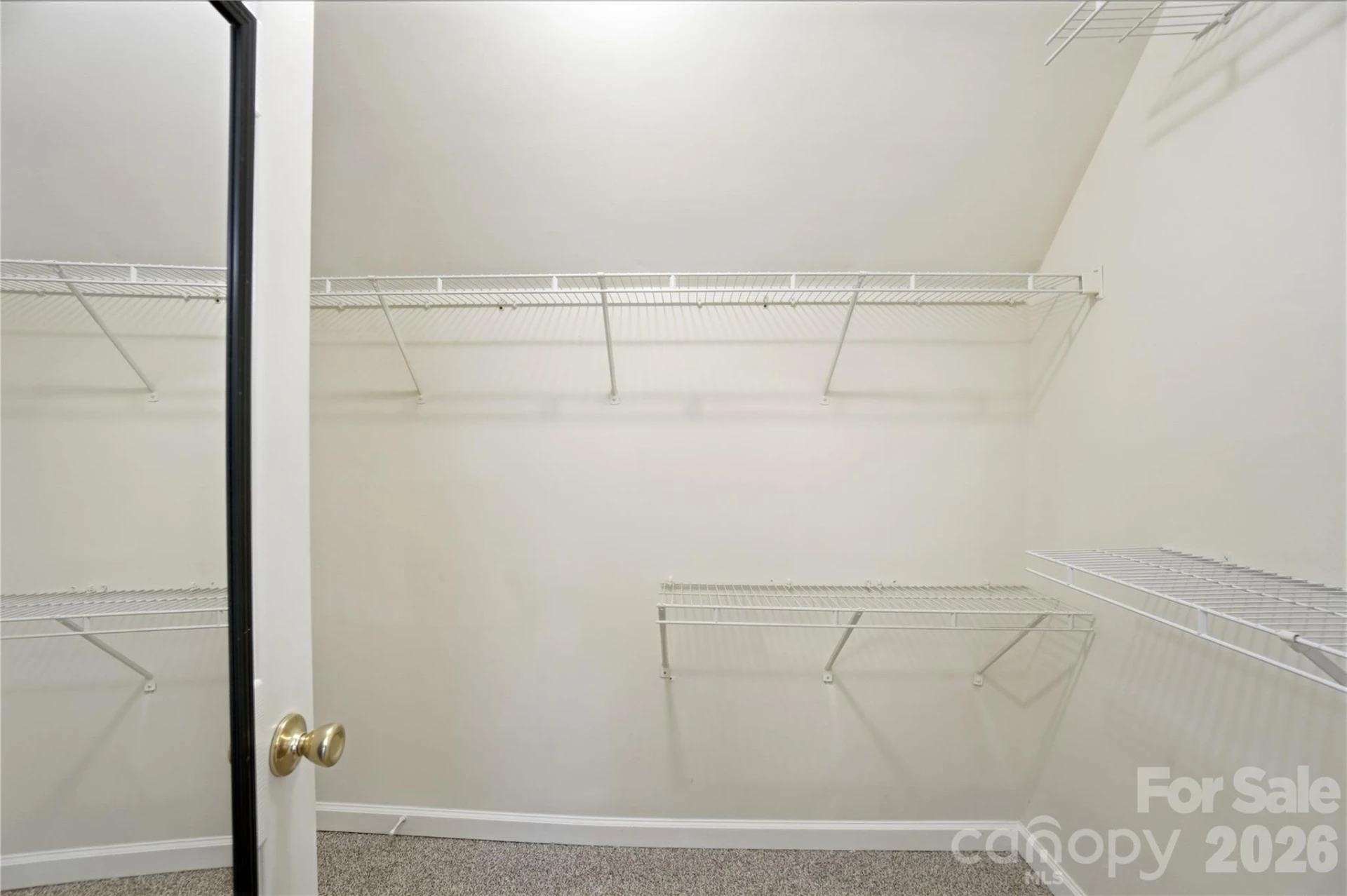 8805 Red Tail Court - Photo 19