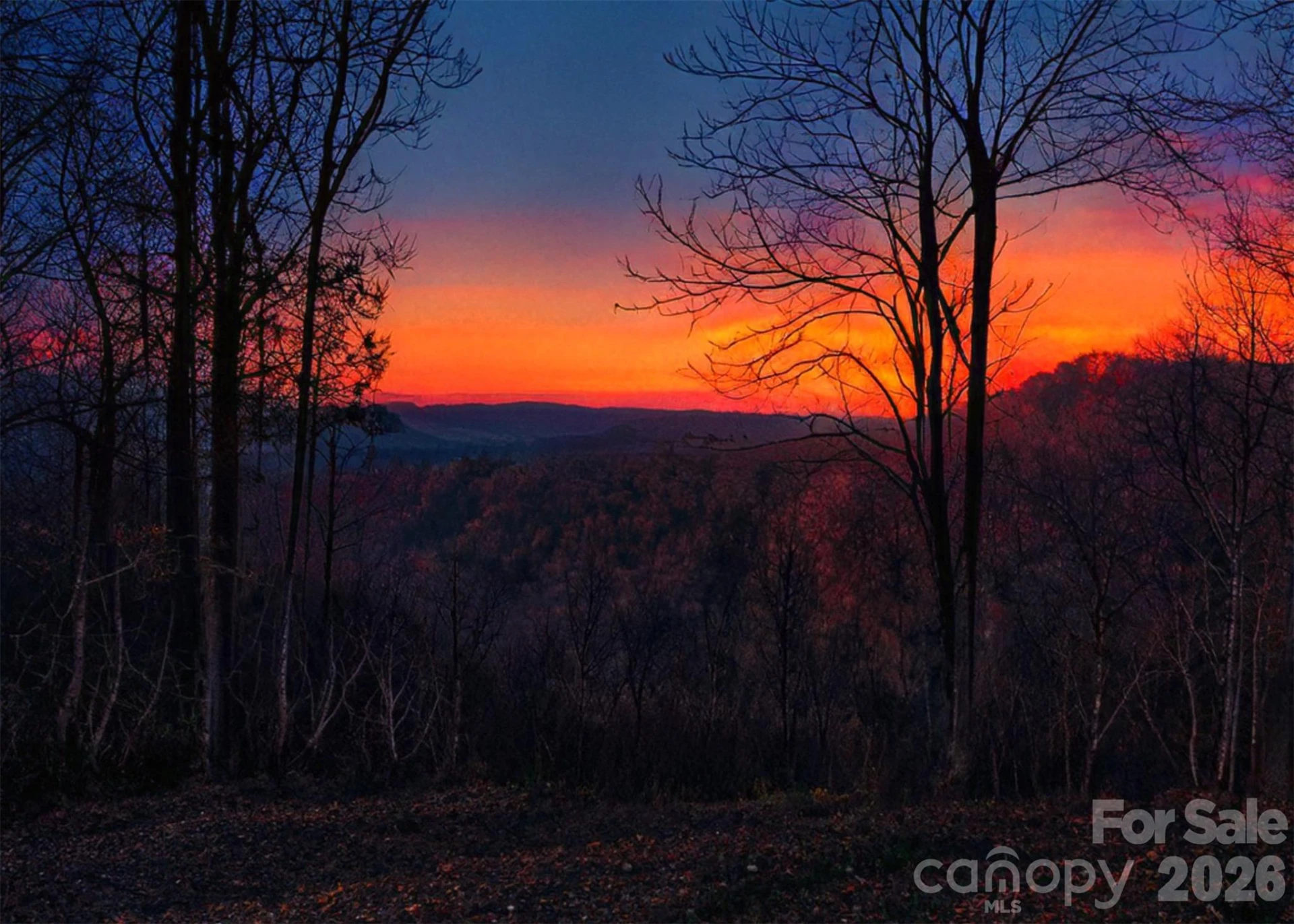 0 Shoal Ridge Lane - Photo 42