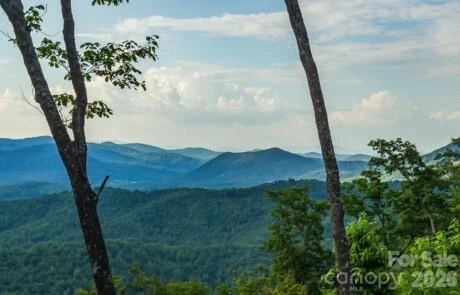 0 Shoal Ridge Lane - Photo 44