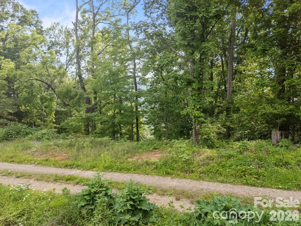 00 Granny Shepherd Road - Photo 2