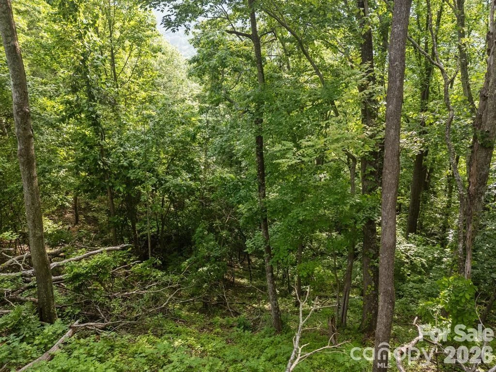 00 Granny Shepherd Road - Photo 3