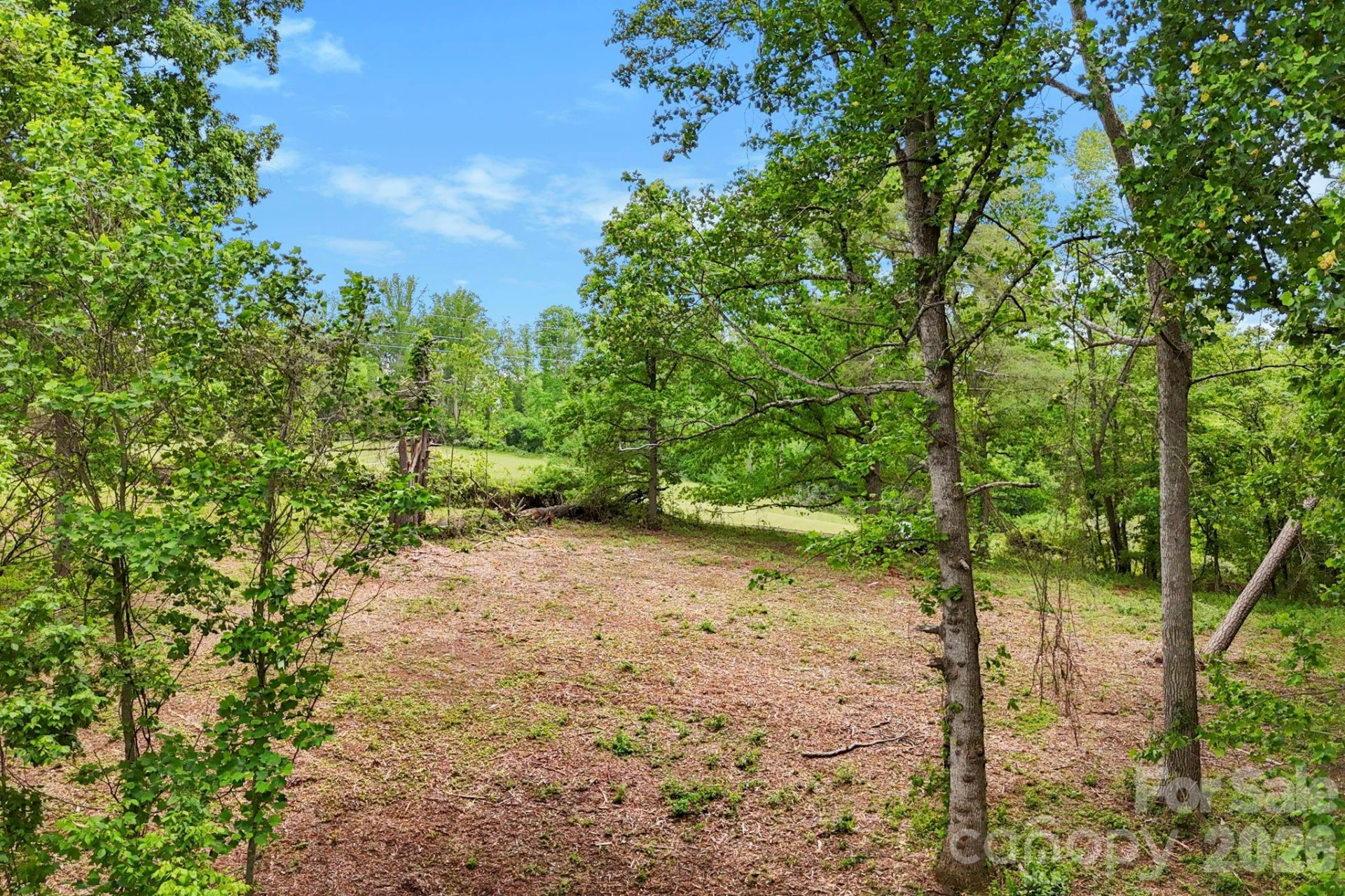99999 Wild Goose Way #2R - Photo 13
