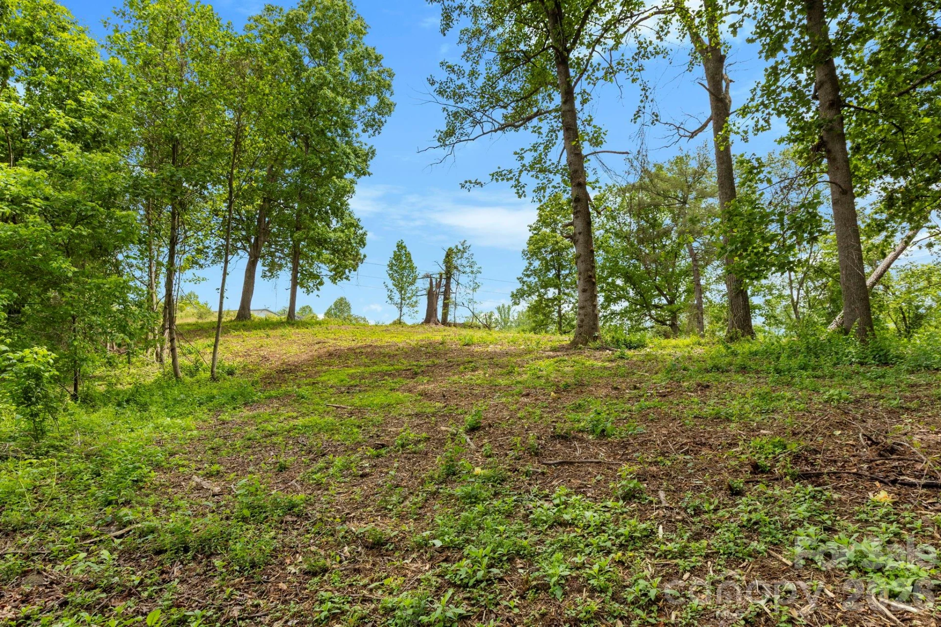 99999 Wild Goose Way #2R - Photo 14