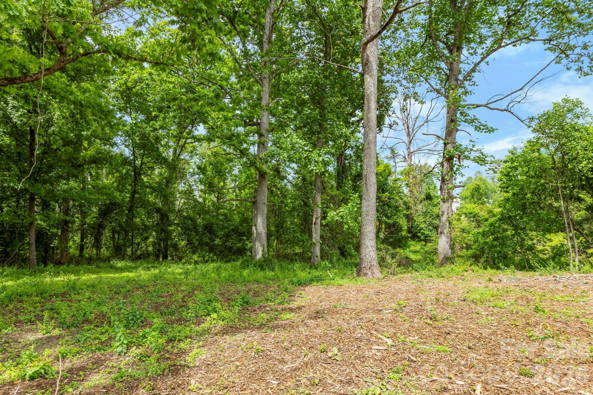 99999 Wild Goose Way #2R - Photo 6