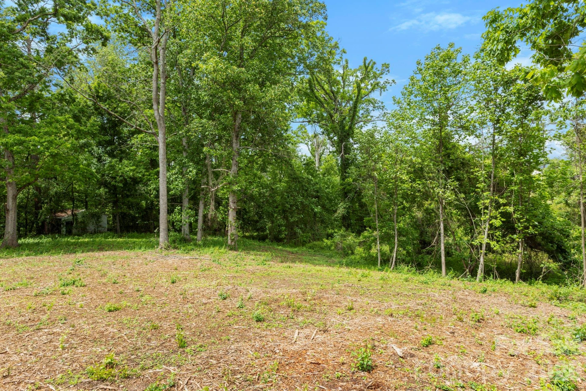 99999 Wild Goose Way #2R - Photo 7