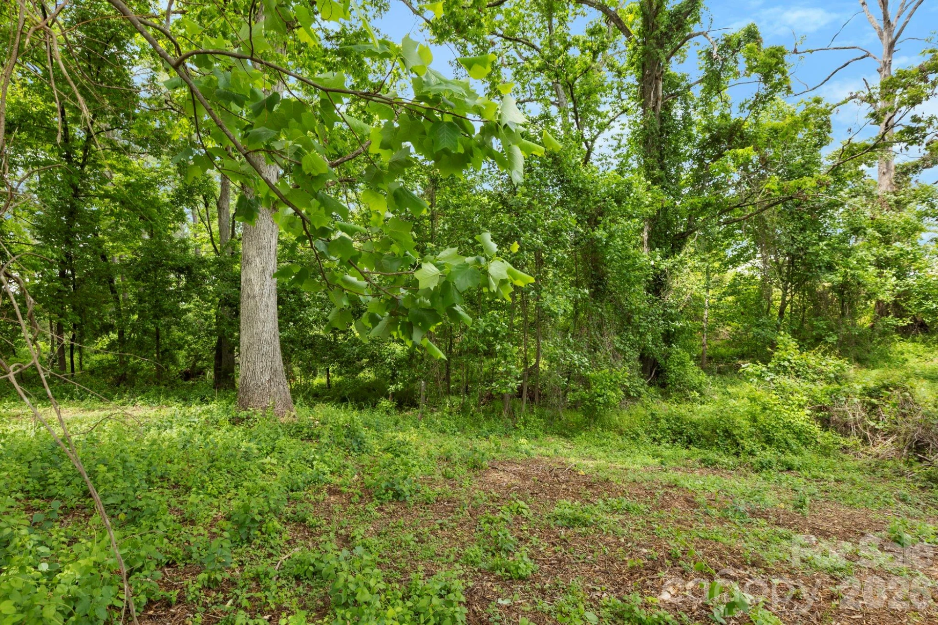 99999 Wild Goose Way #3R - Photo 12