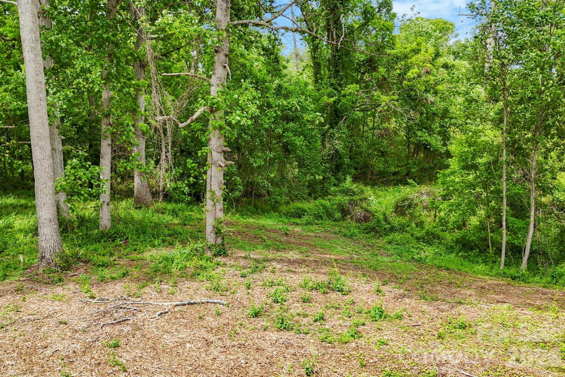 99999 Wild Goose Way #3R - Photo 13
