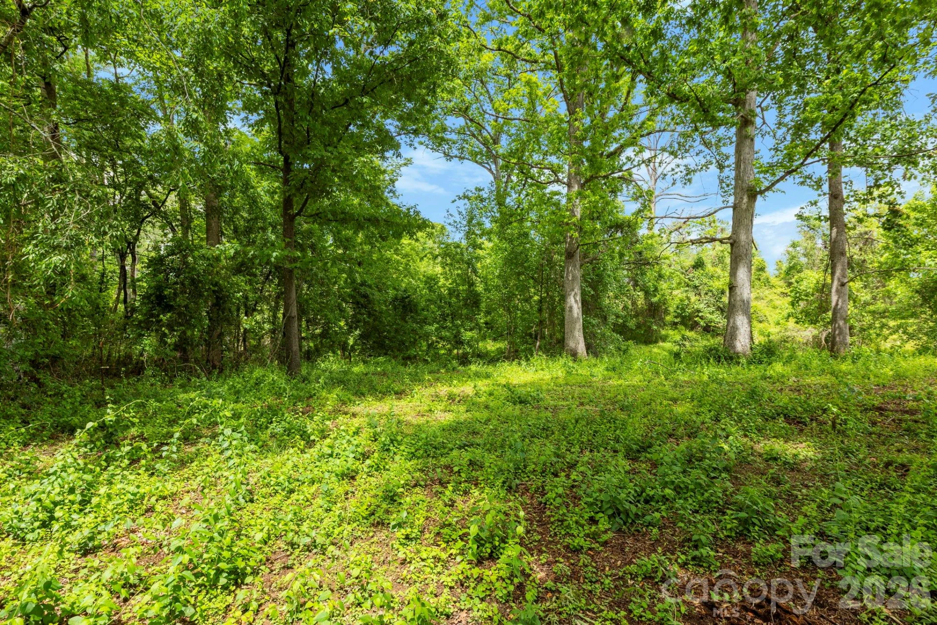 99999 Wild Goose Way #3R - Photo 6