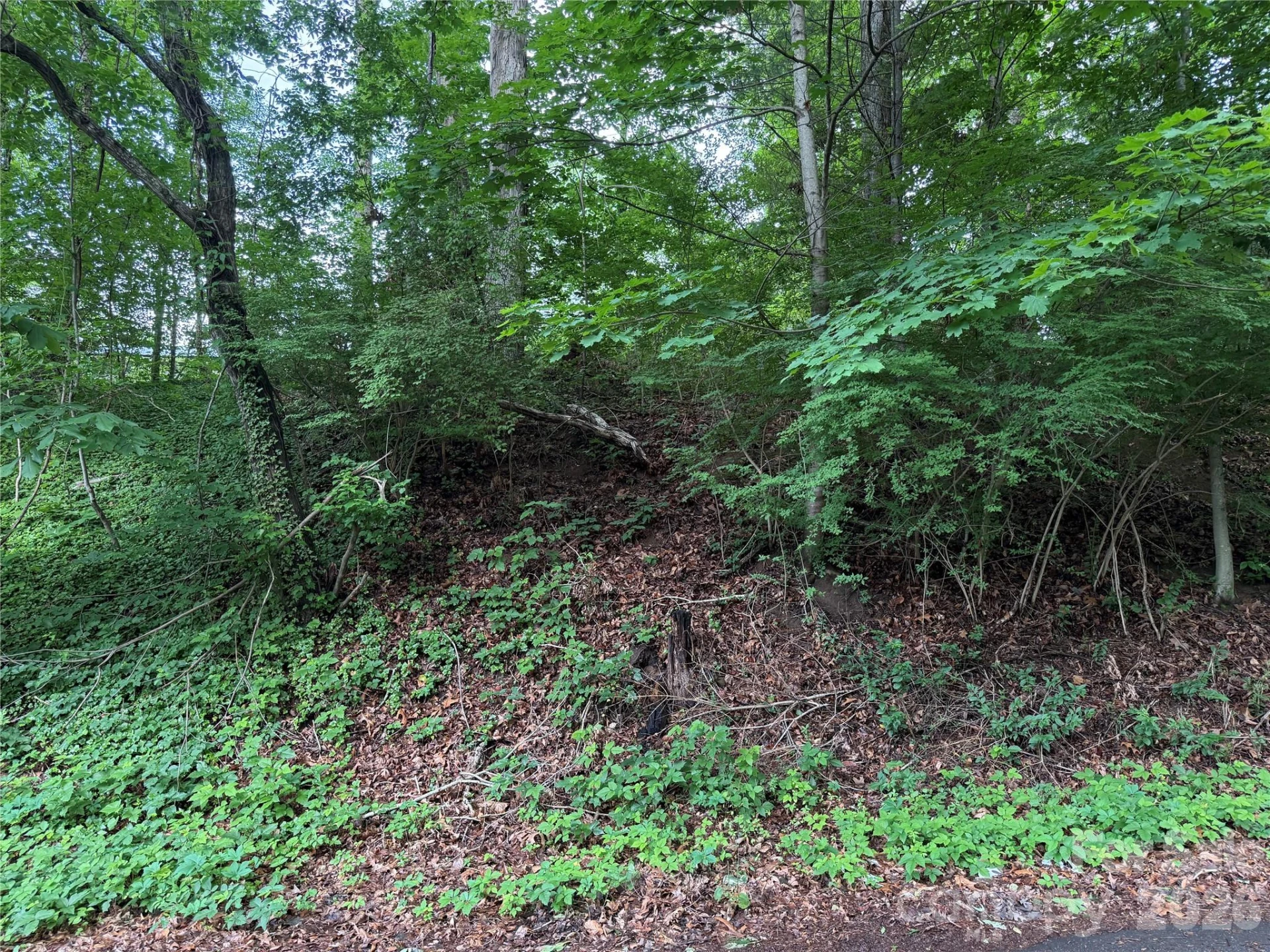 89 Iris Street - Photo 2