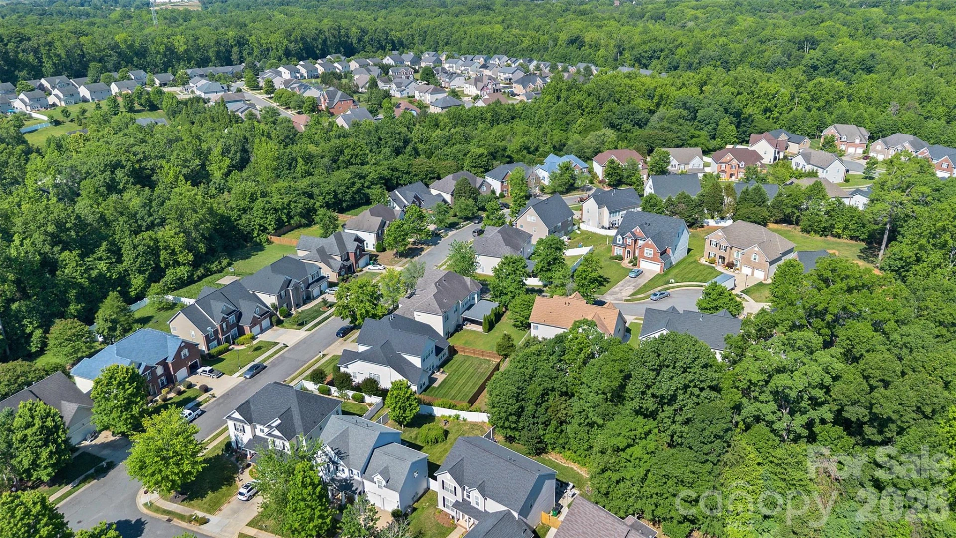 9806 Back Acre Drive - Photo 21