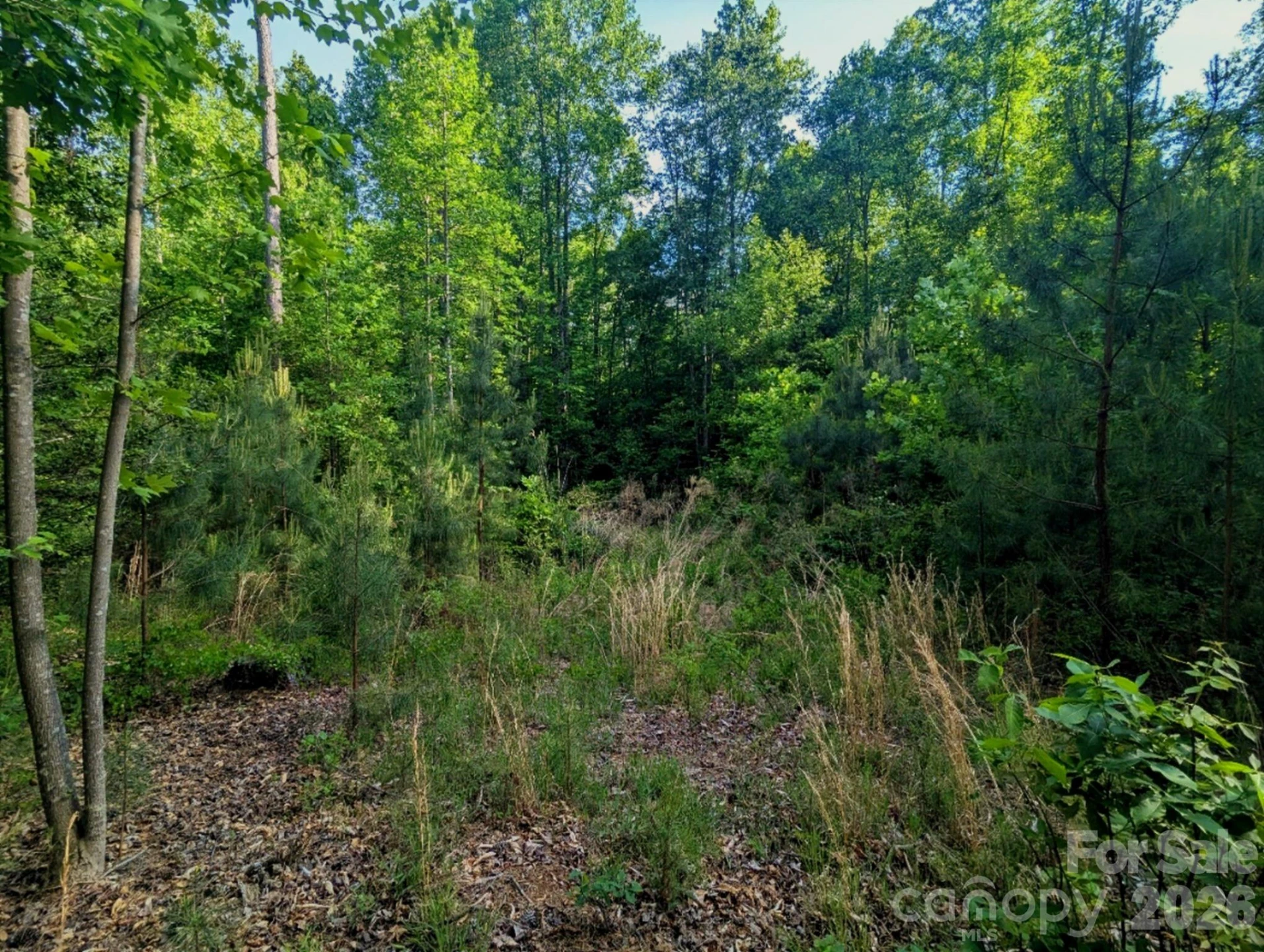 2162 Columbia Ridge #4 - Photo 4