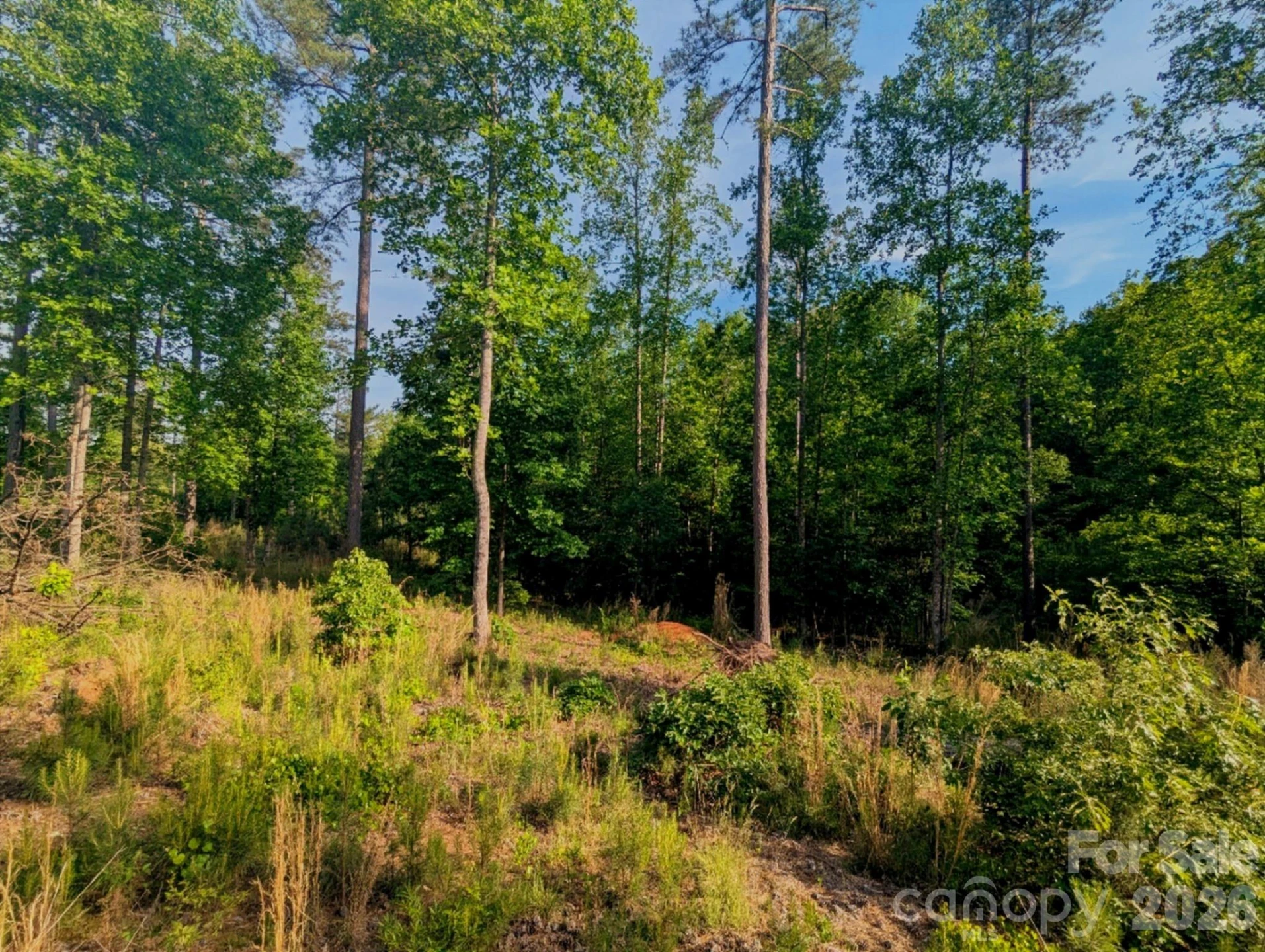 2162 Columbia Ridge #4 - Photo 6