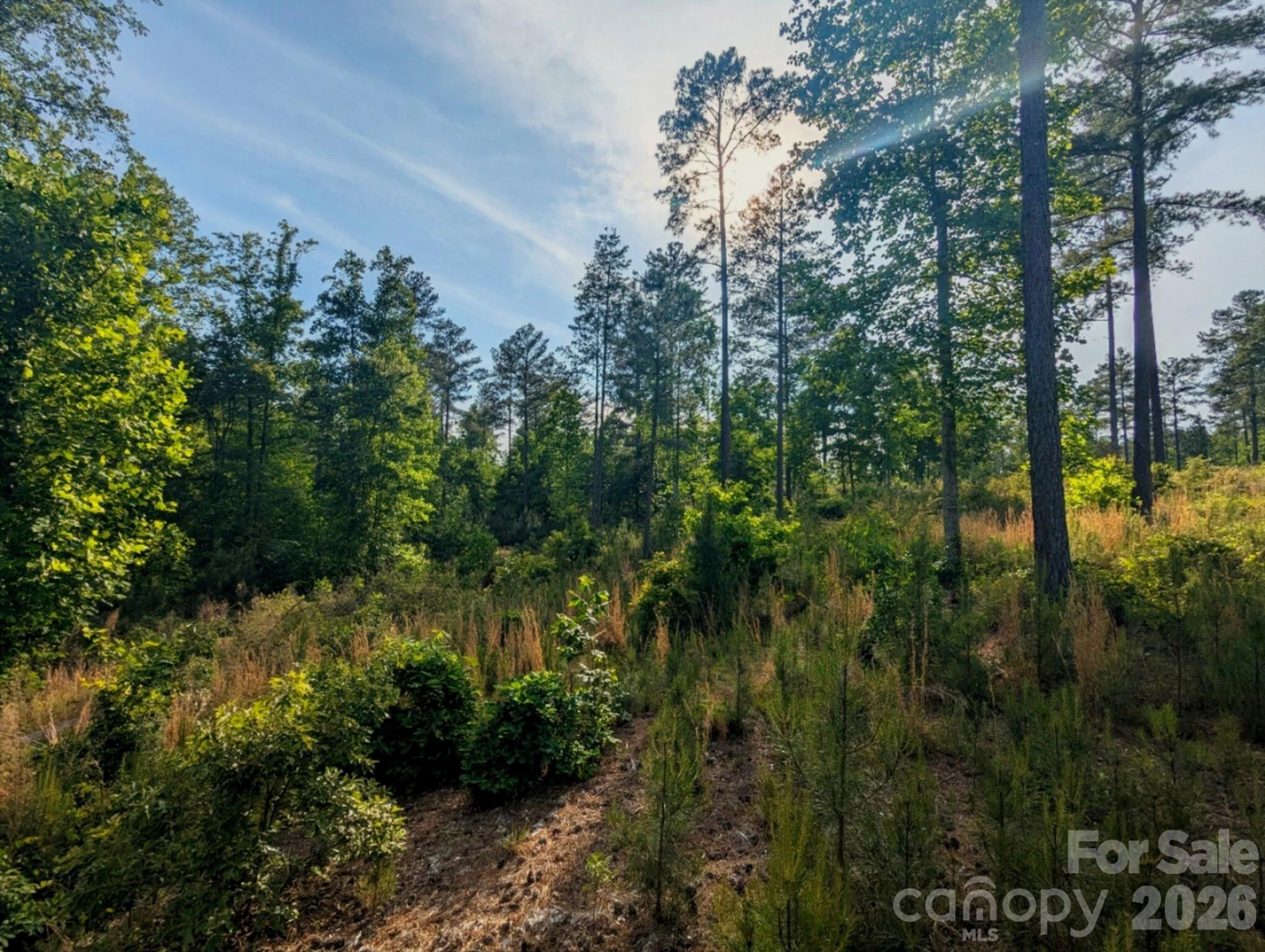 2162 Columbia Ridge #4 - Photo 7