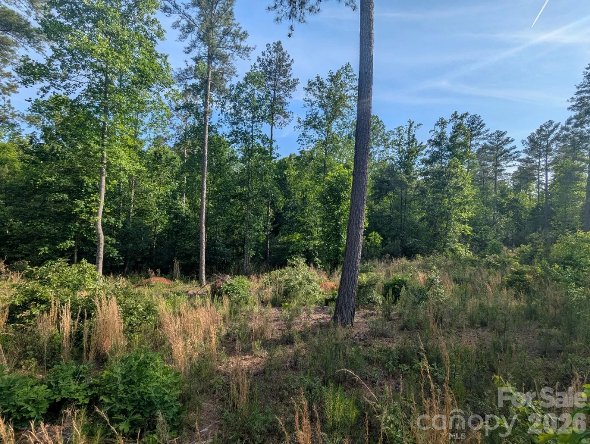 2162 Columbia Ridge #4 - Photo 8