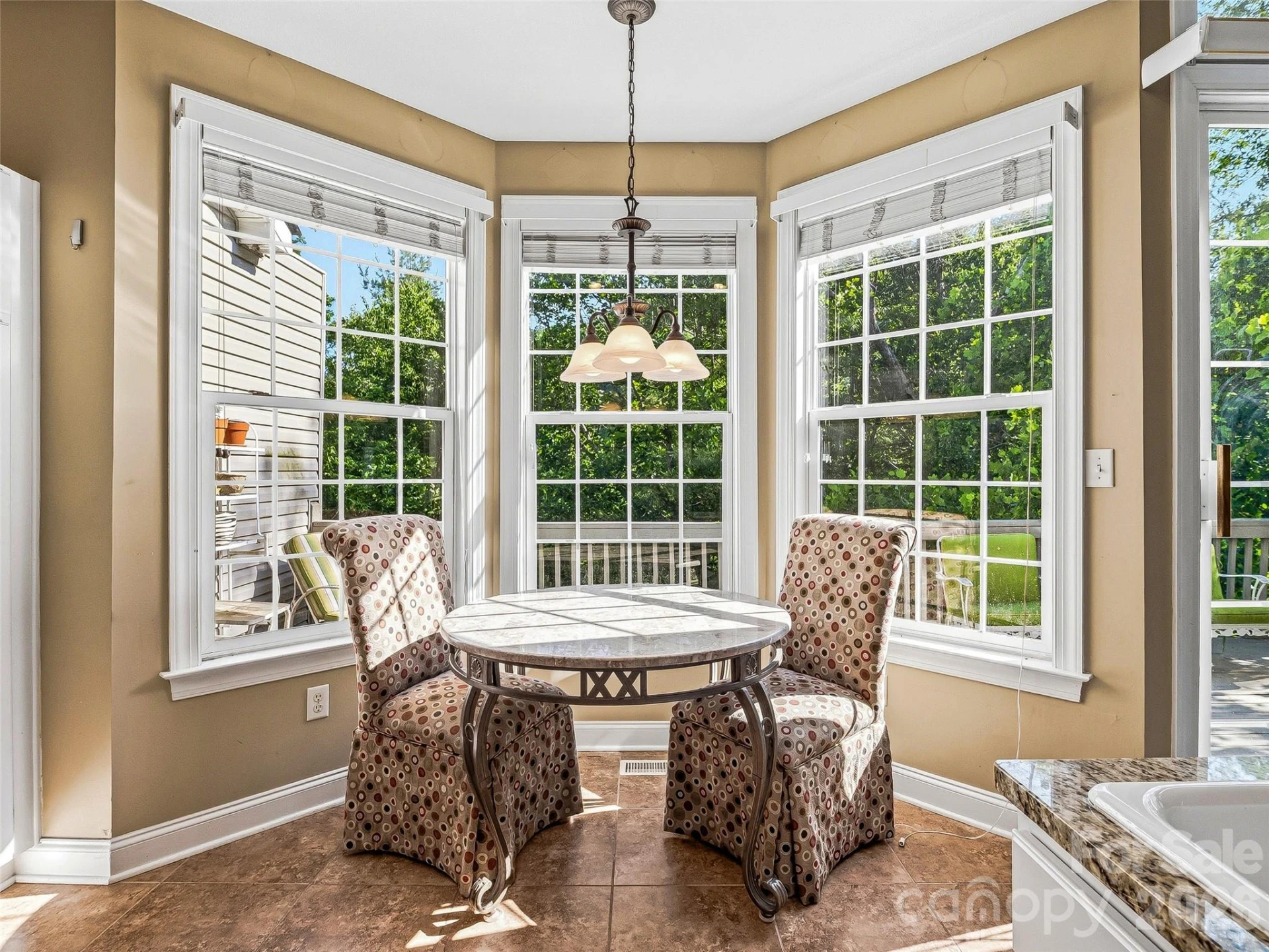 117 Hibiscus Lane - Photo 16