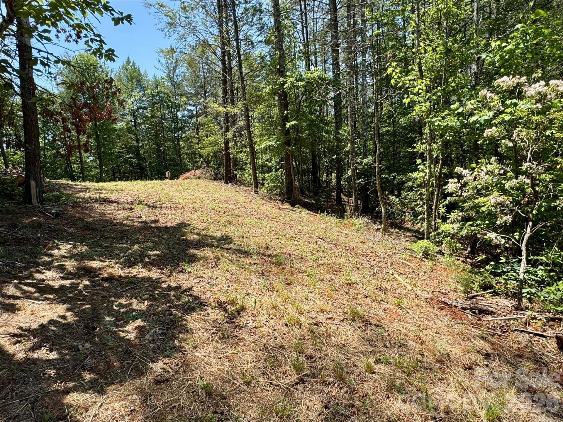 Lot 731, 5971 Box Turtle Run #731 - Photo 4