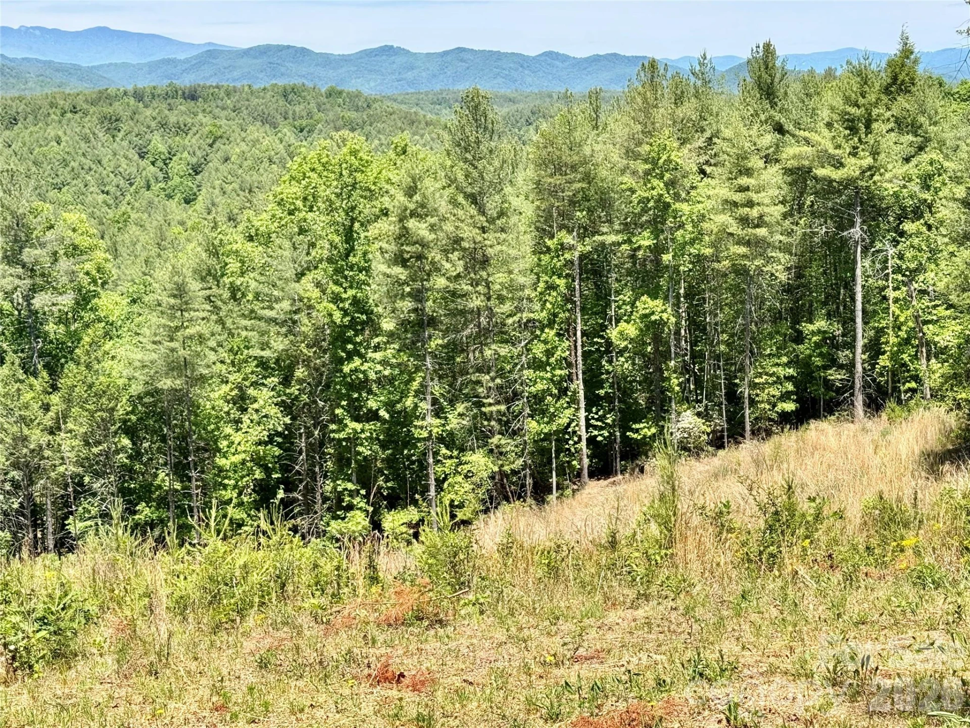 Lot 731, 5971 Box Turtle Run #731 - Photo 5