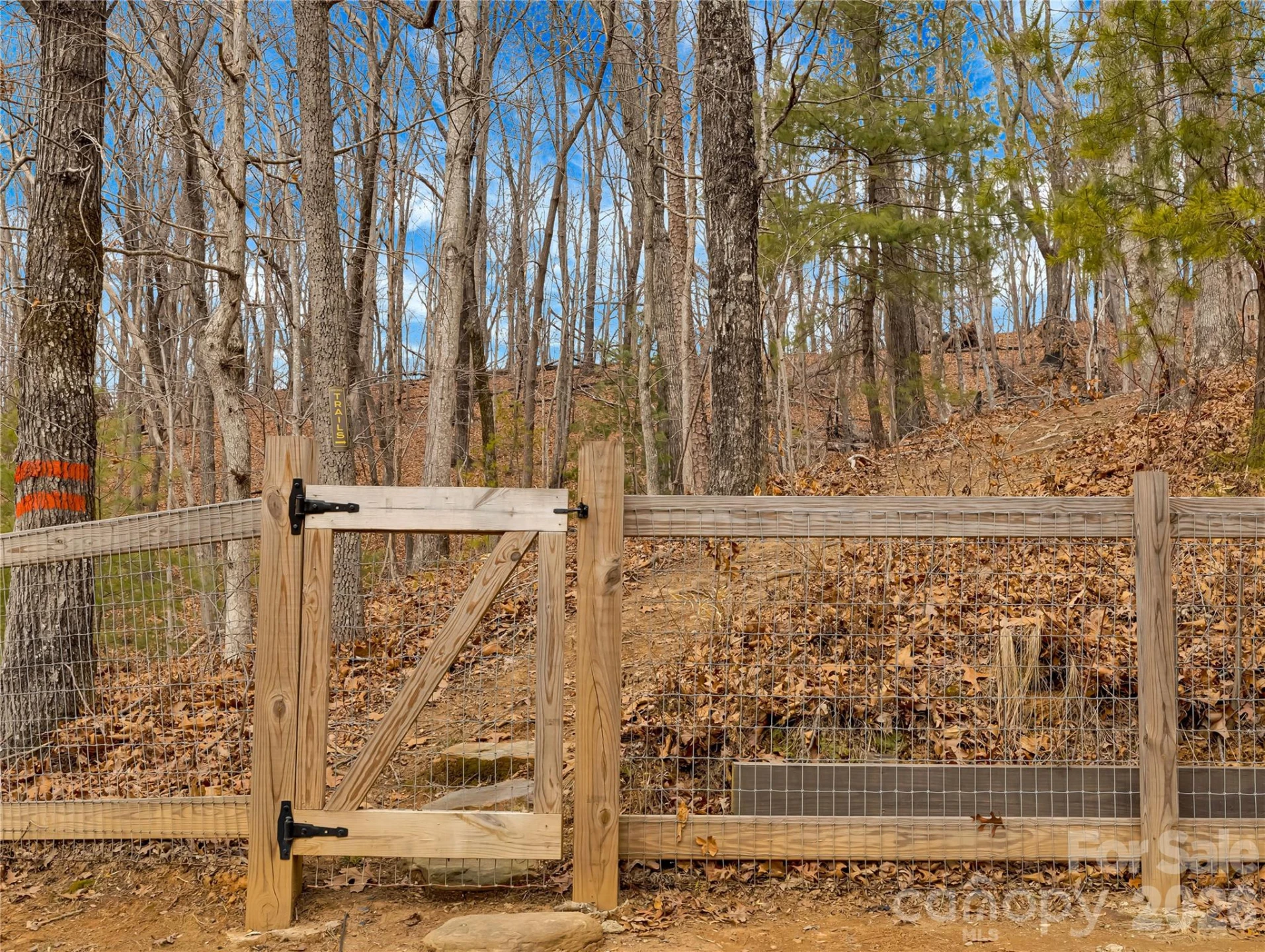 184 Deep Woods Lane - Photo 42