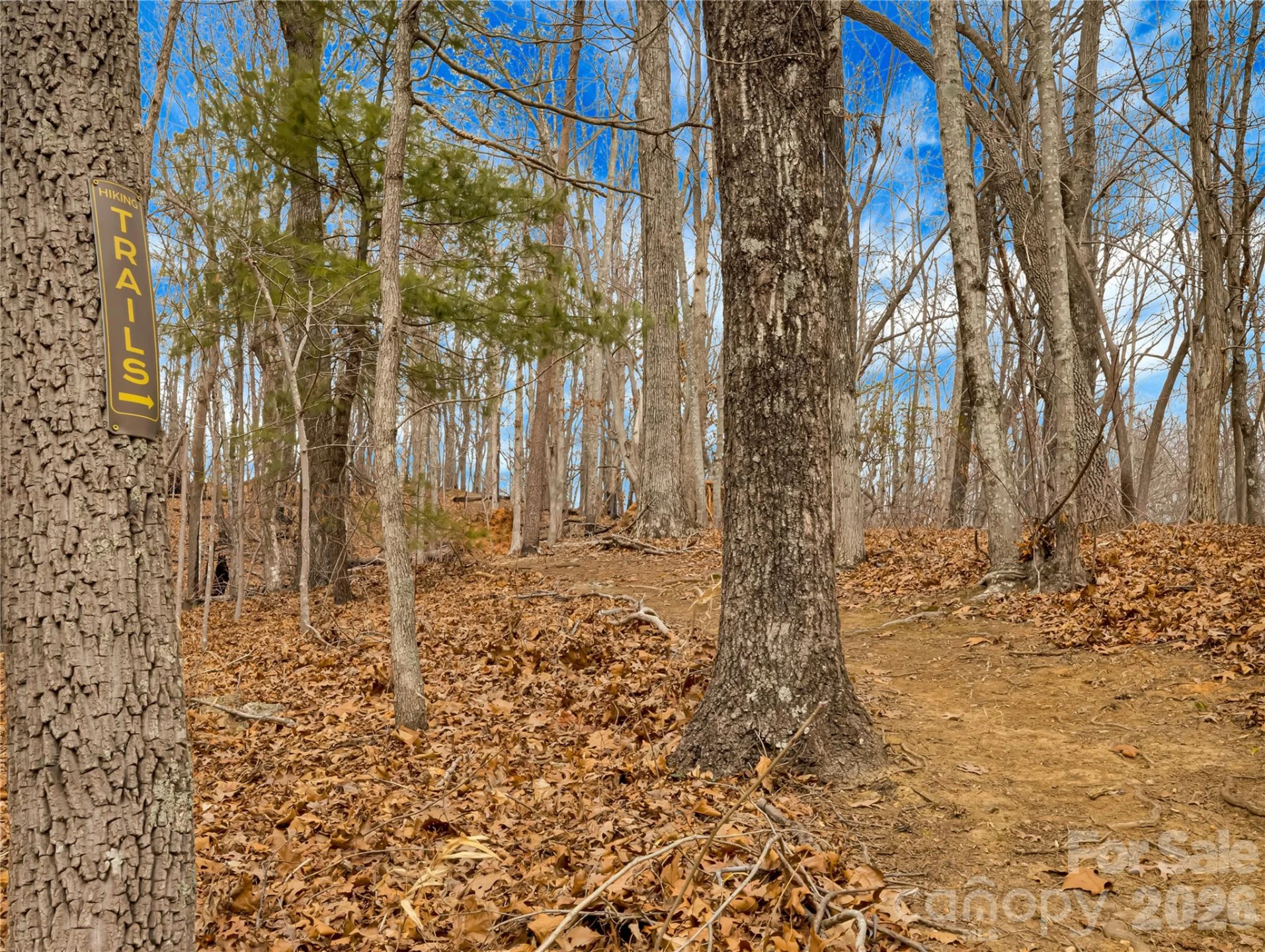 184 Deep Woods Lane - Photo 43