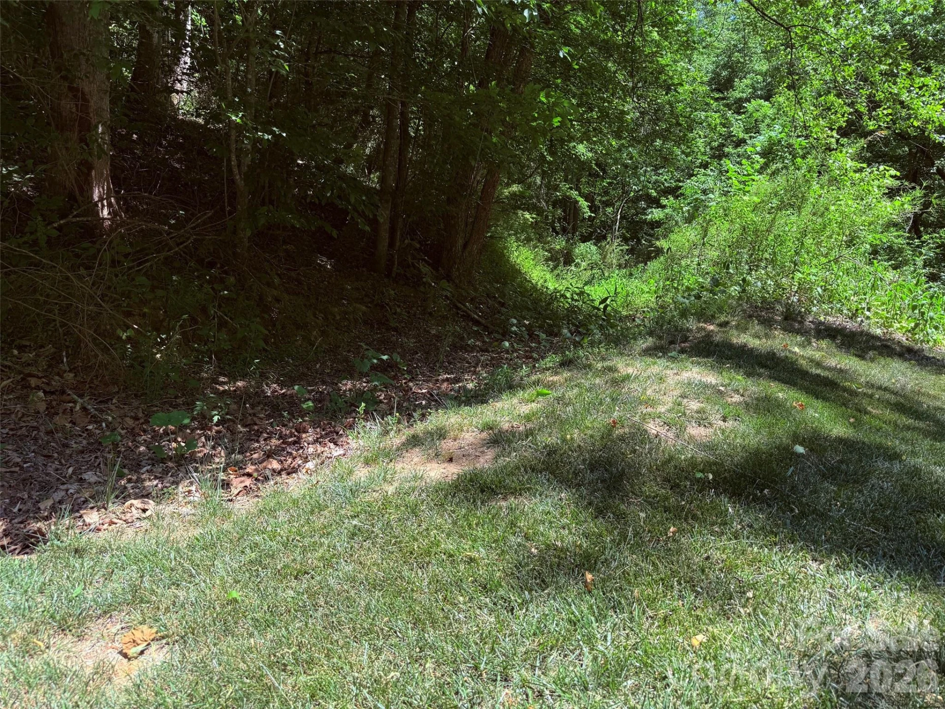 TBD Heartwood Drive #41 - Photo 3