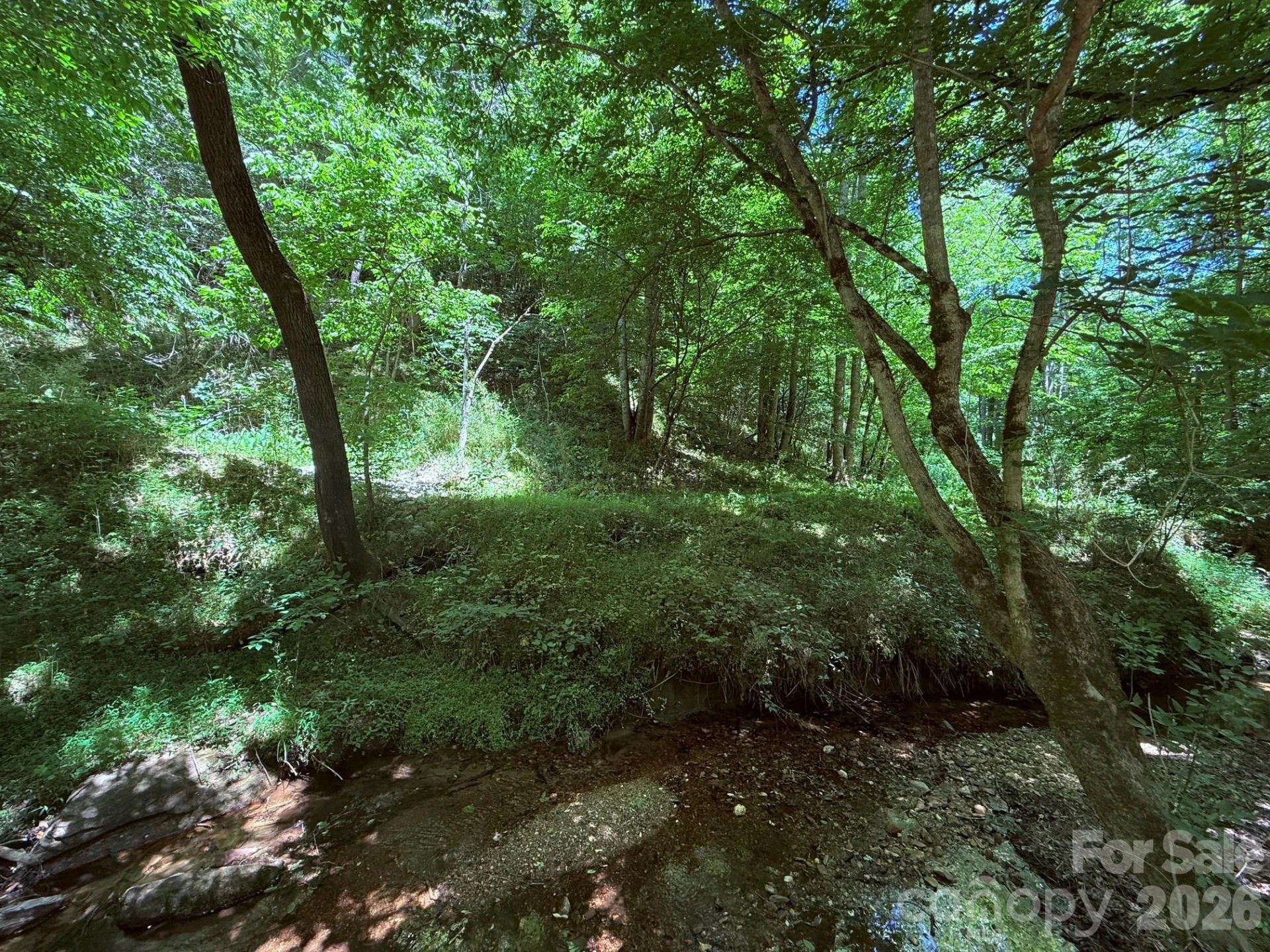 TBD Heartwood Drive #41 - Photo 7