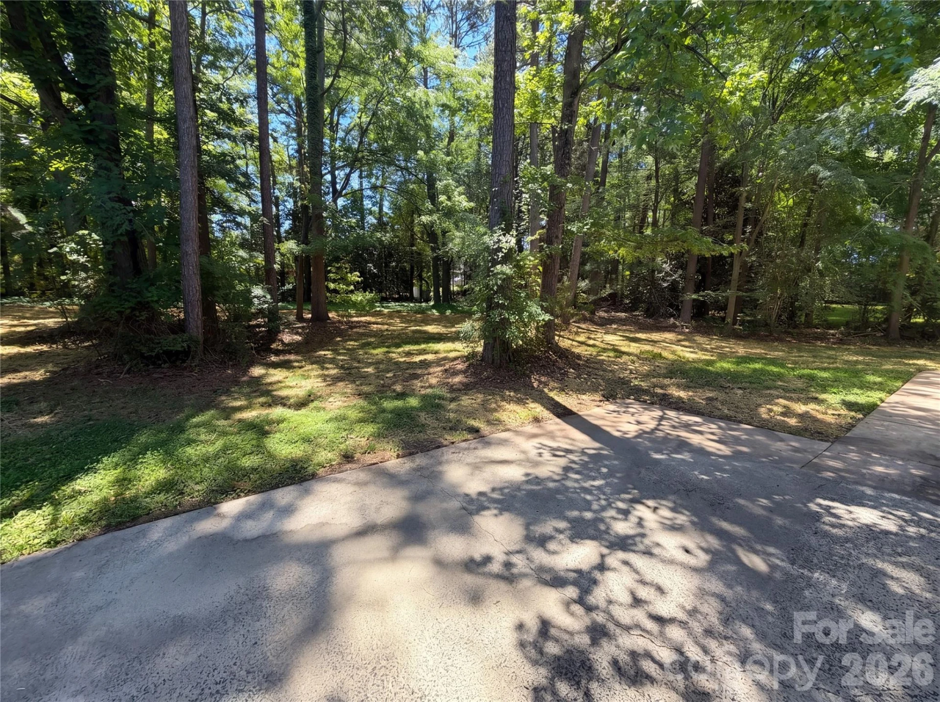 118 Withershinn Drive - Photo 3