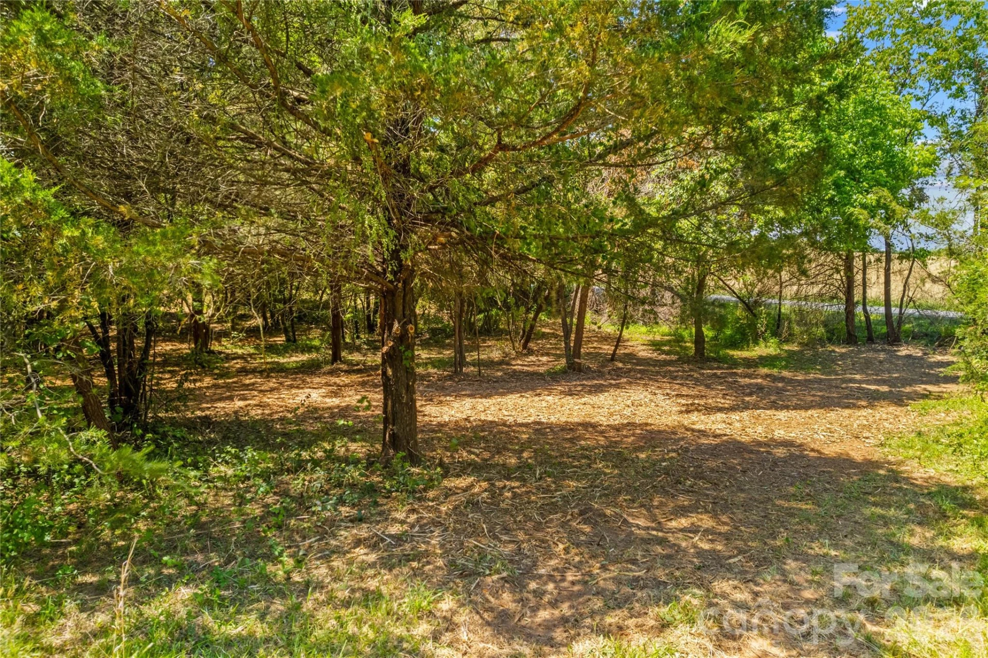 190 Sheffield Road - Photo 11