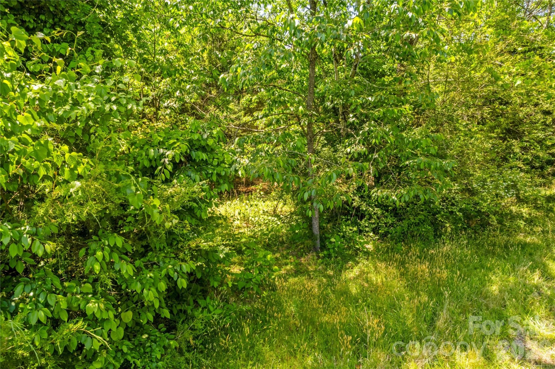 190 Sheffield Road - Photo 5