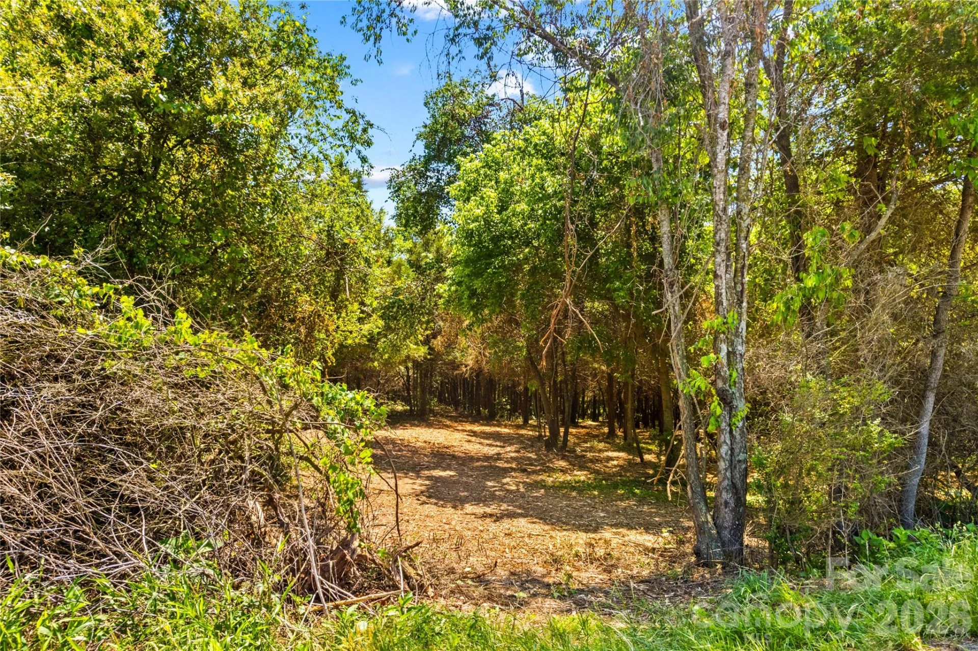 190 Sheffield Road - Photo 6