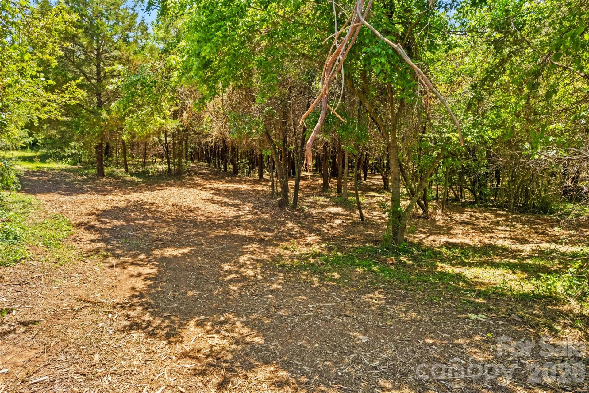 190 Sheffield Road - Photo 7