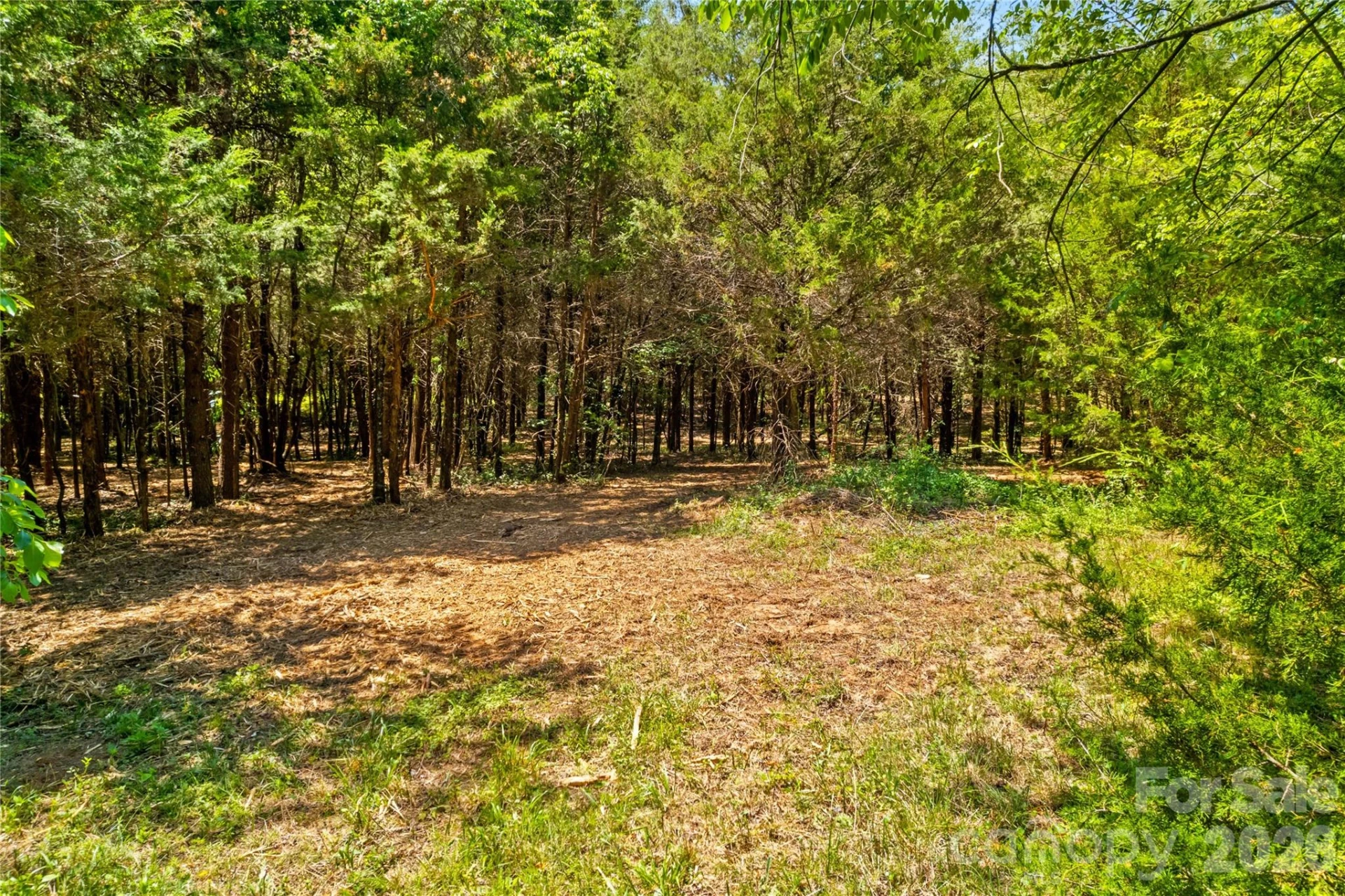 190 Sheffield Road - Photo 8