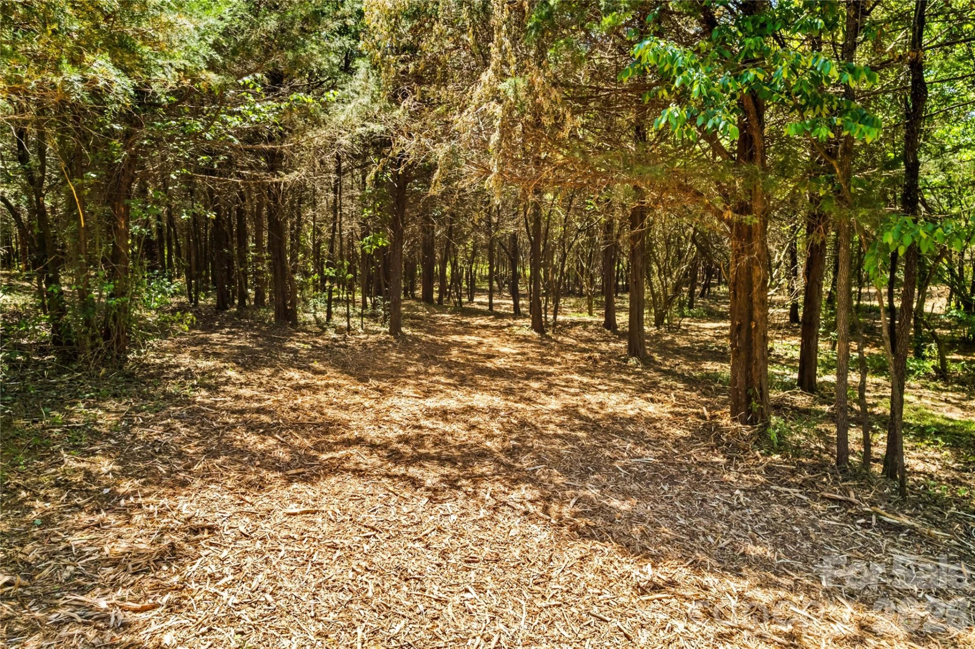 190 Sheffield Road - Photo 9
