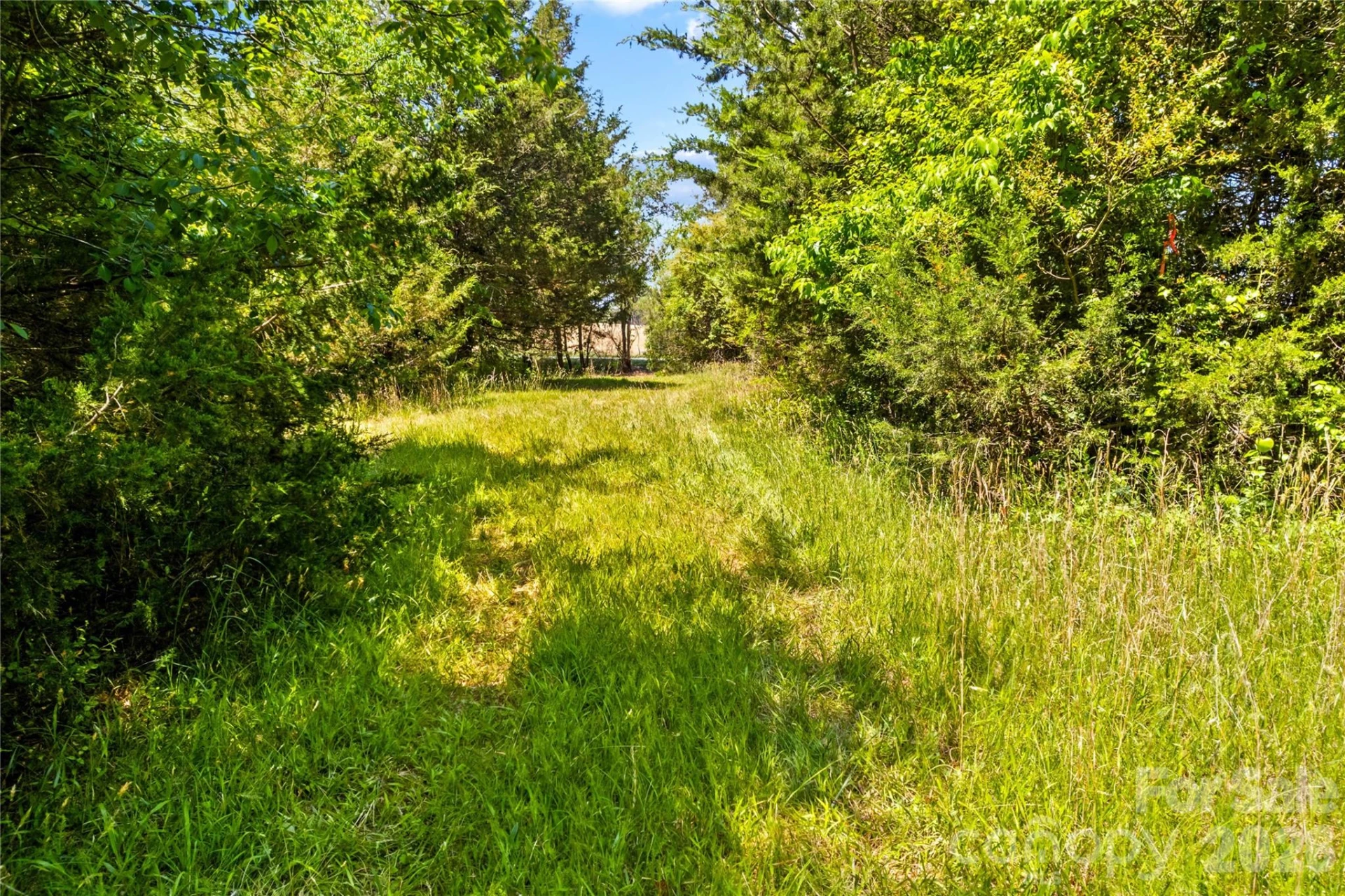 190 Sheffield Road - Photo 10