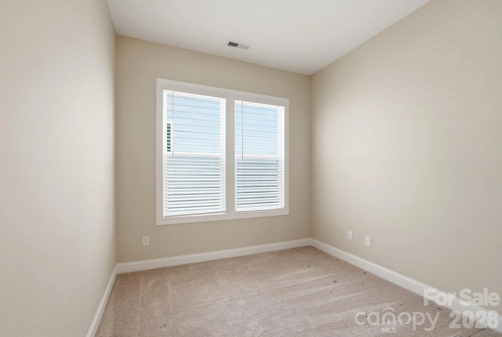 1009 Ballyfin Way - Photo 18