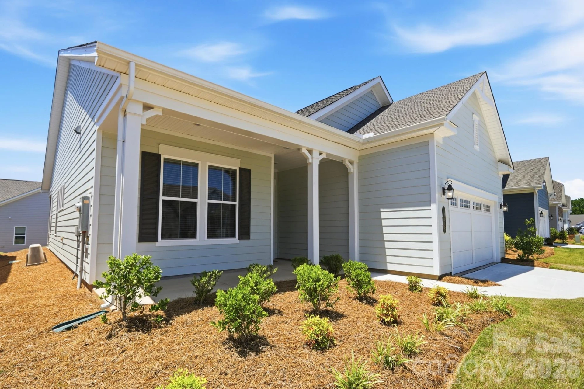 1009 Ballyfin Way - Photo 3
