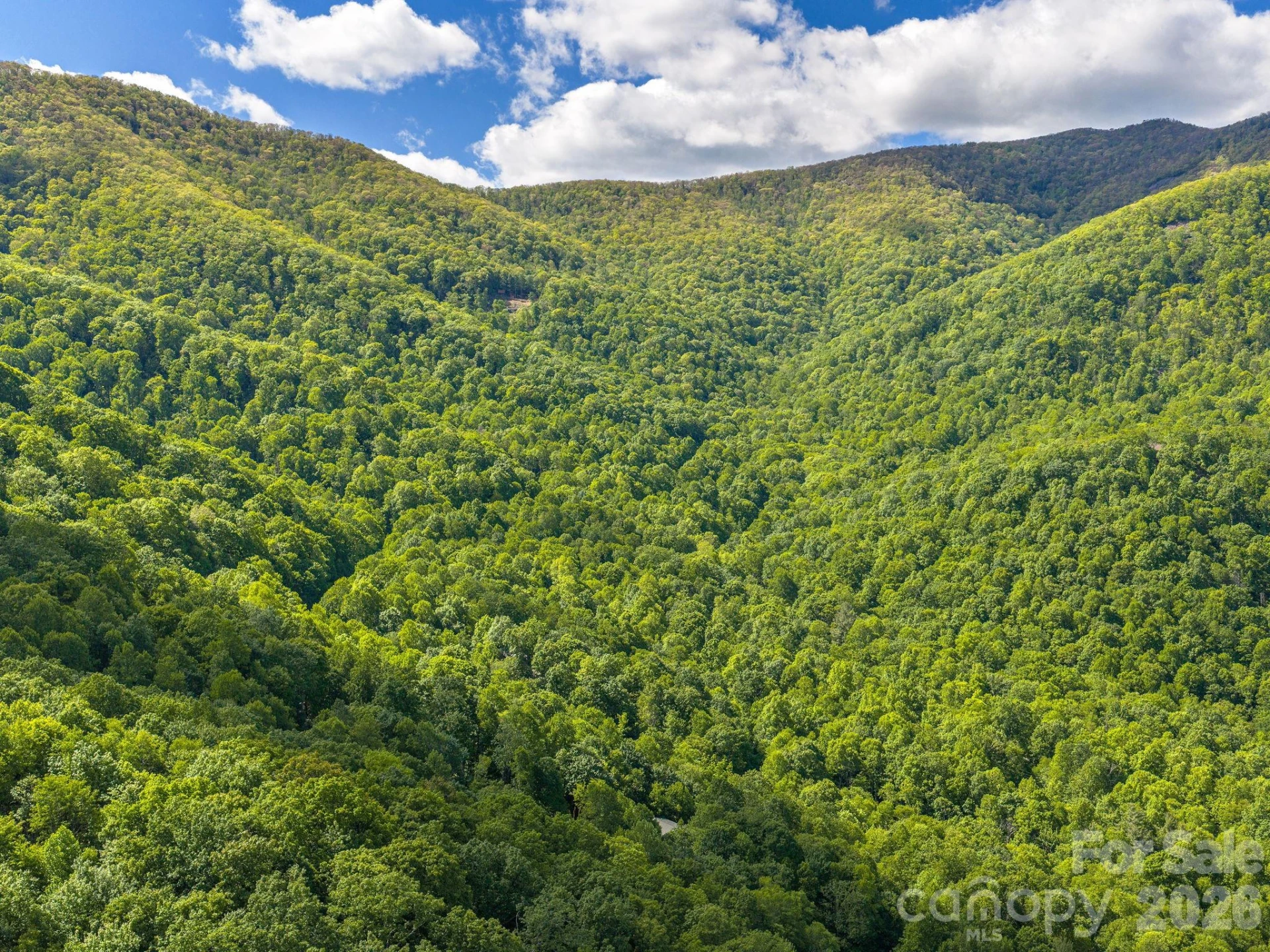 39 Great Aspen Way - Photo 28