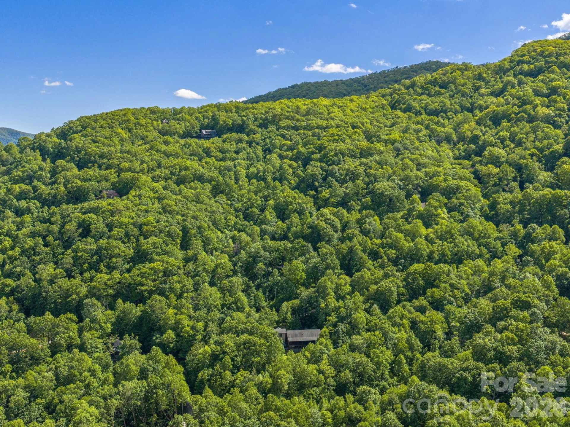 39 Great Aspen Way - Photo 29