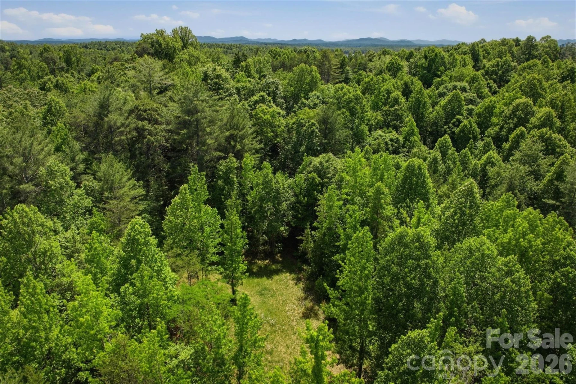 0 NC 126 Road - Photo 5