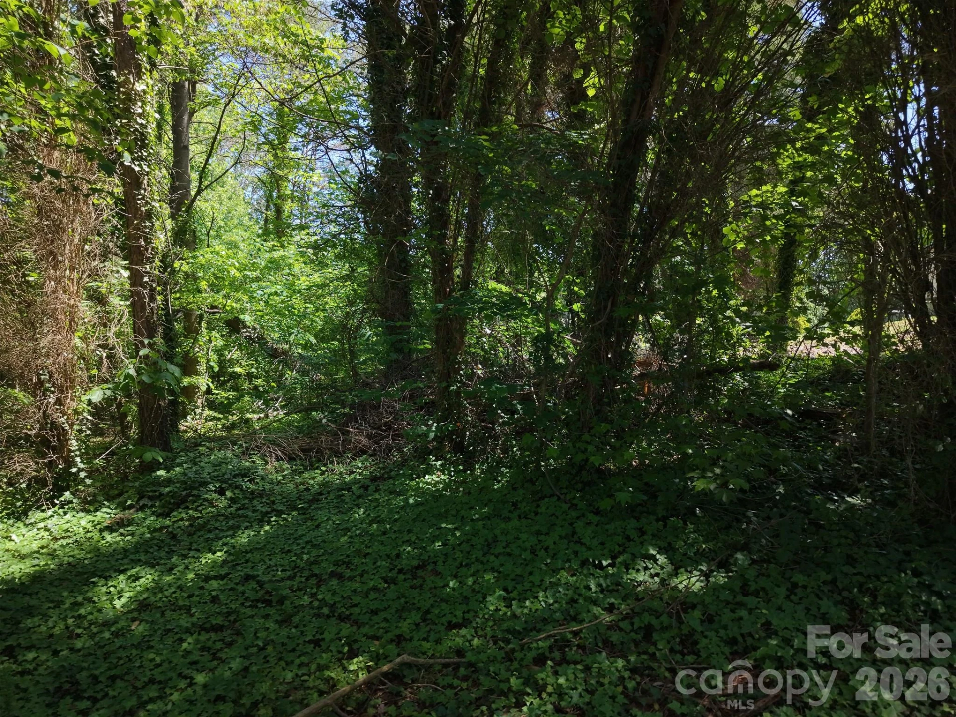4244 Harbor Lane - Photo 22
