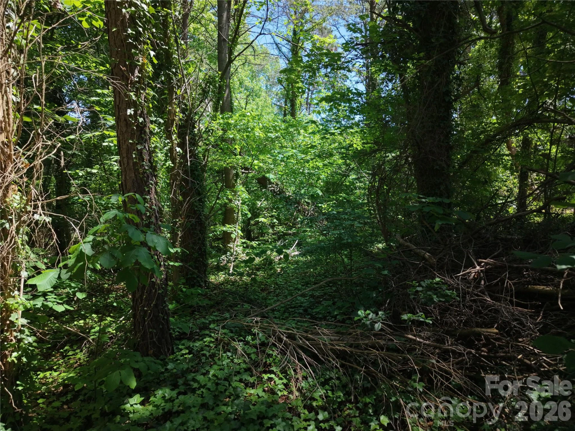 4244 Harbor Lane - Photo 23