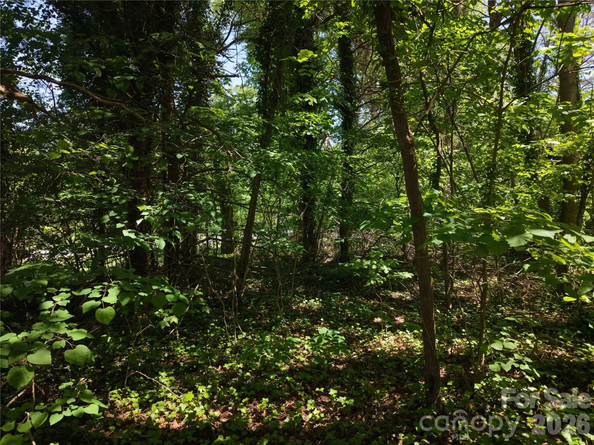 4244 Harbor Lane - Photo 24