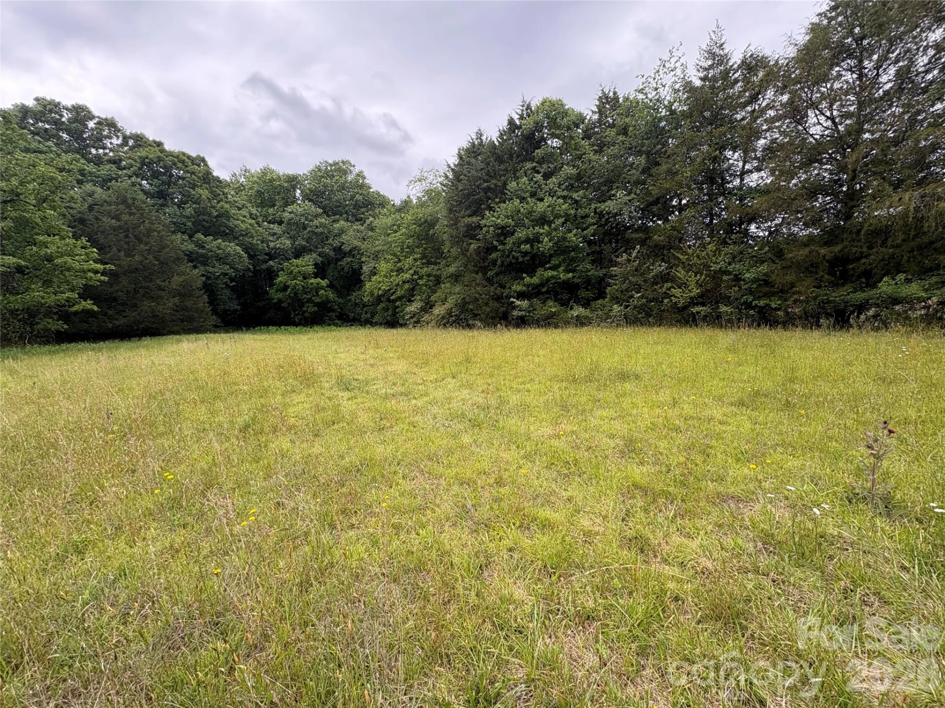254 Beechwood Farm Road #1