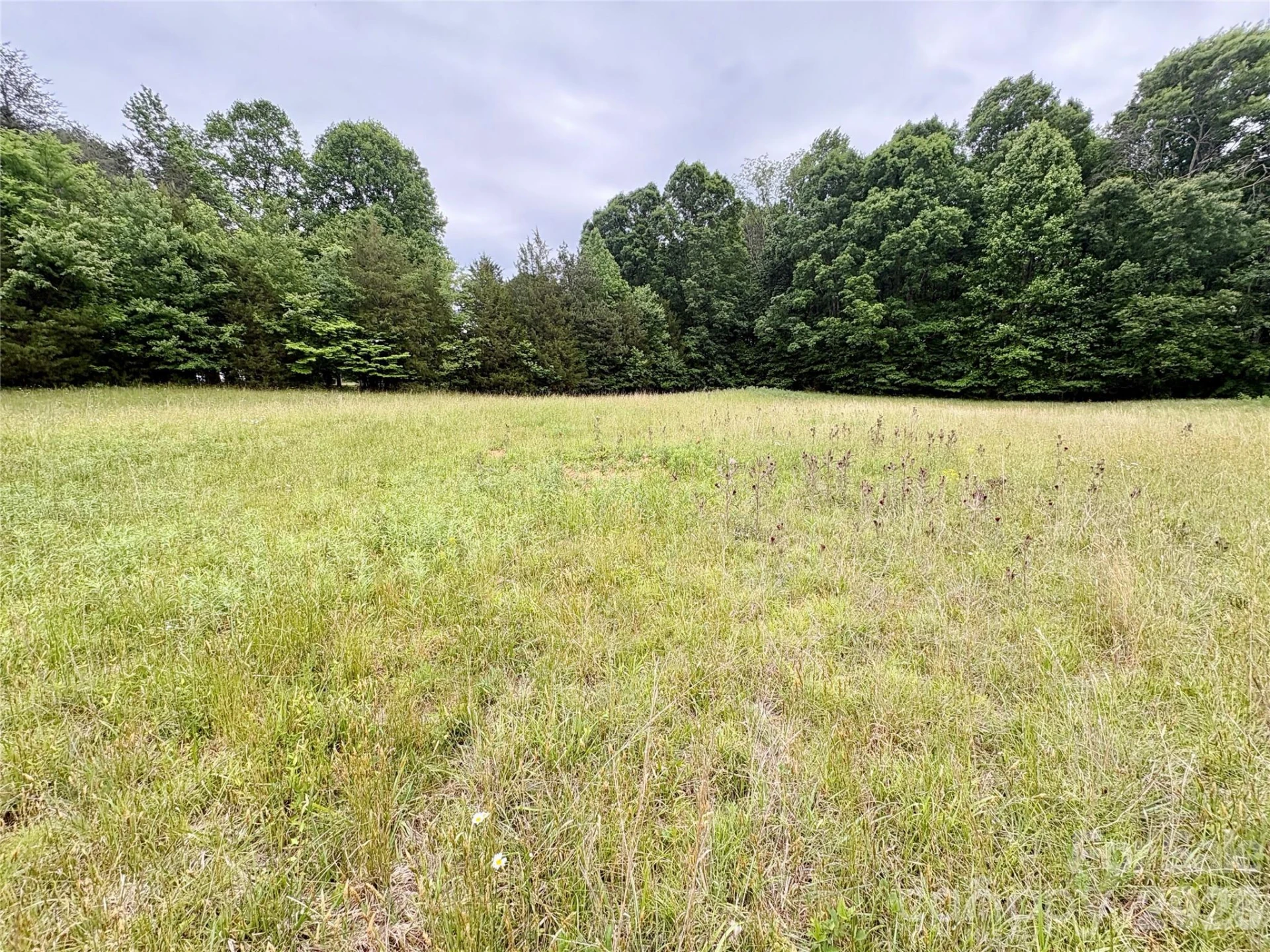 254 Beechwood Farm Road #1 - Photo 2