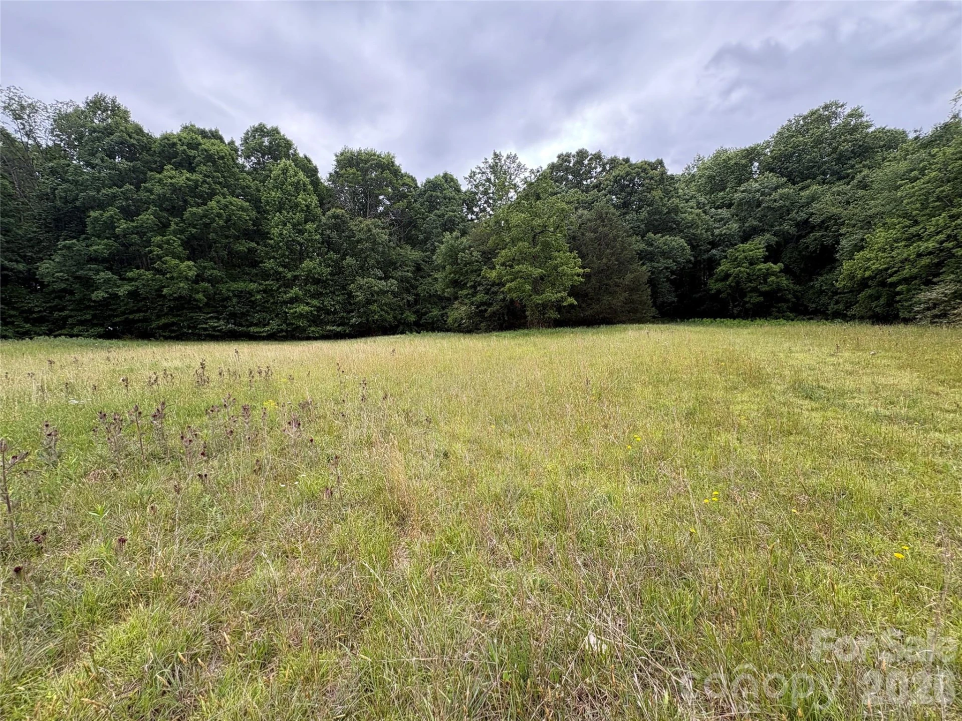 254 Beechwood Farm Road #1 - Photo 3
